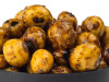 Тигровый орех для рыбалки готовый Tiger Nut 500мл Тигровый орех для рыбалки готовый Tiger Nut 500мл