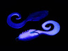 Поролоновый твистер Dancing tail 3,5" #908 (2шт) Поролоновый твистер Dancing tail 3,5" #908 (2шт)