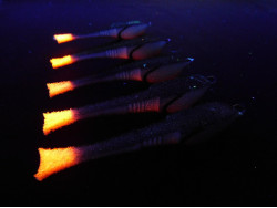 Поролоновая рыбка Dancing Fish 3,5" #301 (5шт)-foto2