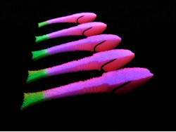 Поролоновая рыбка Dancing Fish 3,5" #307 (5шт)-foto2