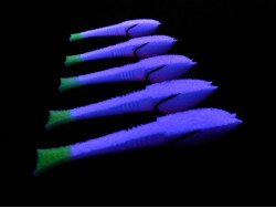 Поролоновая рыбка Dancing Fish 3,5" #313 (5шт)-foto2